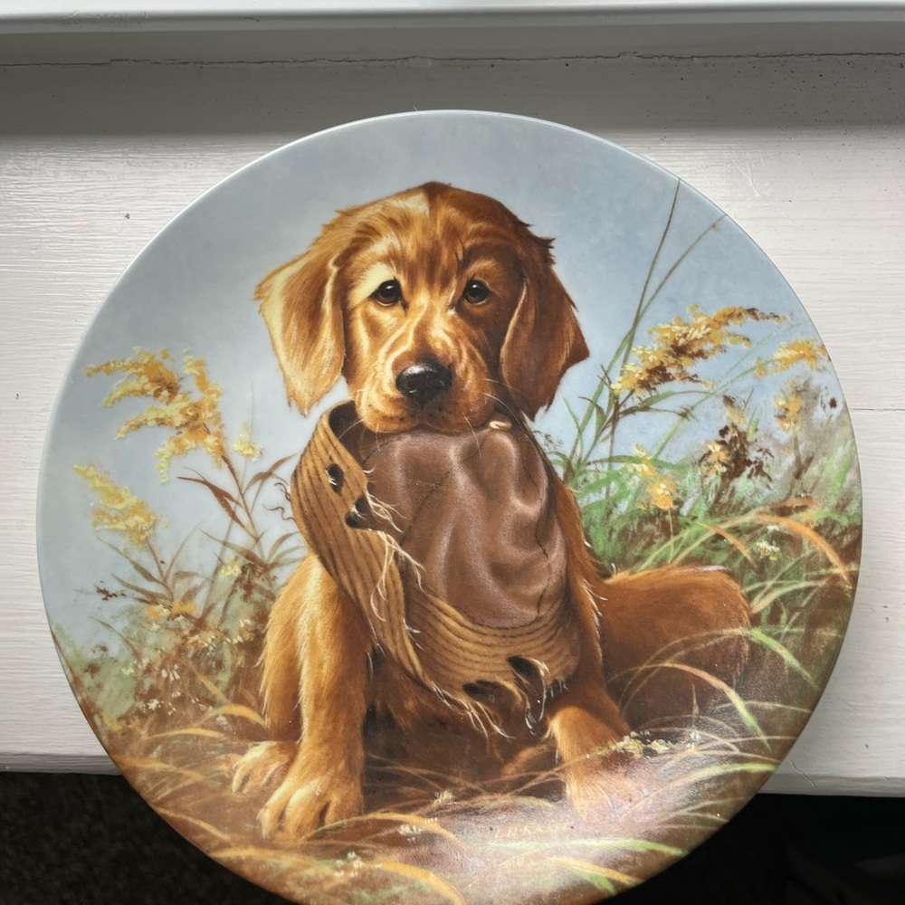 Golden Retriever Decorative Plate